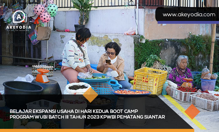 Boot Camp Wubi 3